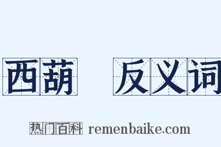 西葫蘆反义词是什么意思的图片